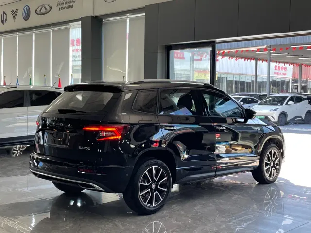 Skoda Karoq — Фото автомобиля 17