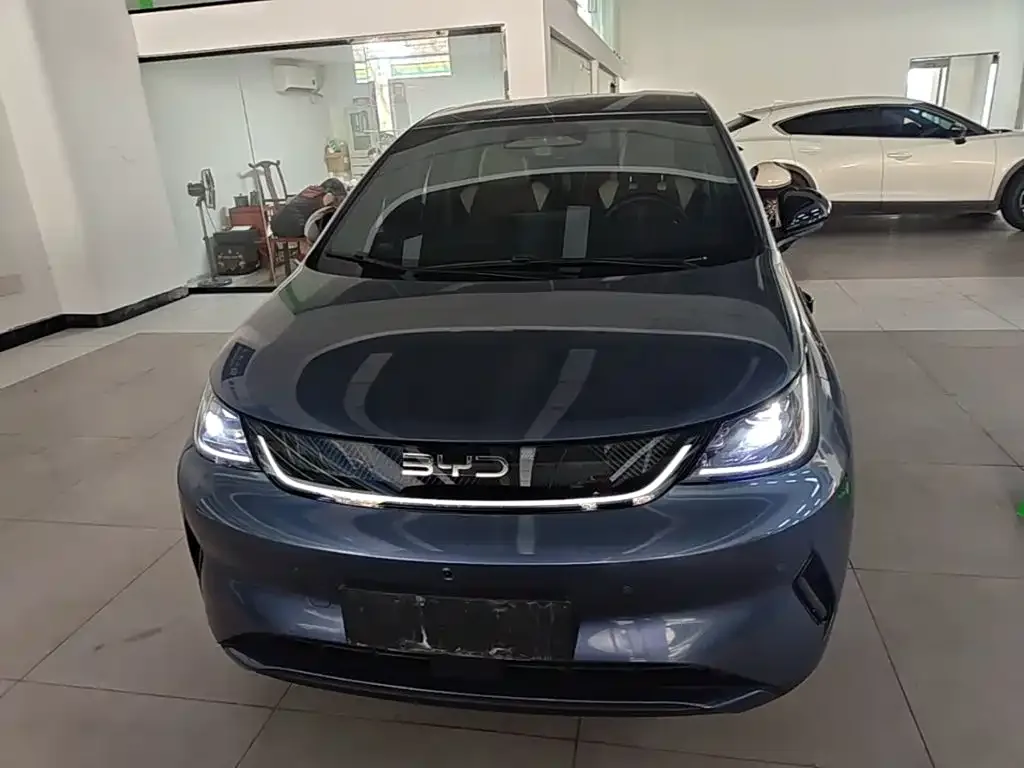 BYD Dolphin 2025 Smart Drive Edition 420km Freedom Version — Фото автомобиля 2
