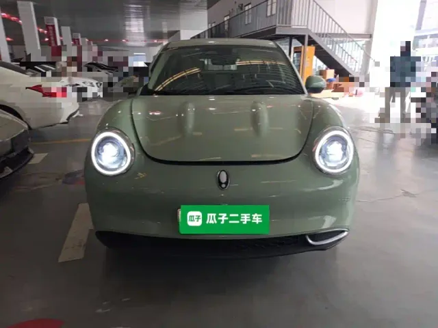 Ora Good Cat — Фото автомобиля 2
