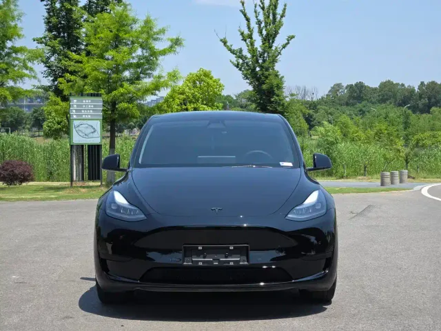 Tesla Model Y — Фото автомобиля 2