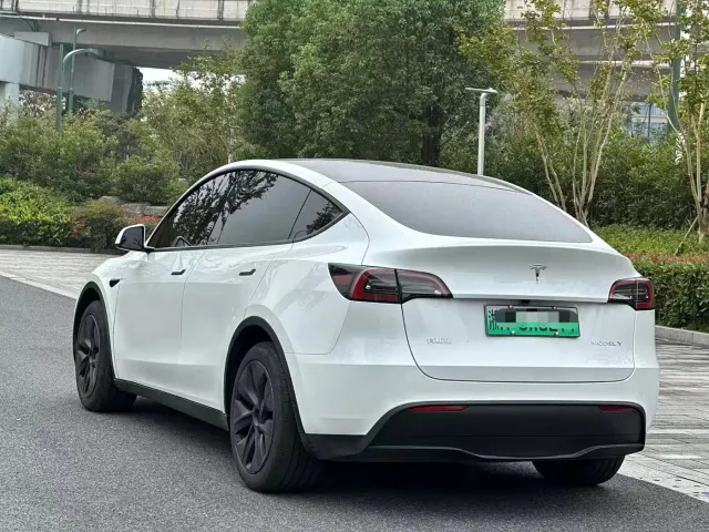 Tesla Model Y — Фото автомобиля 4