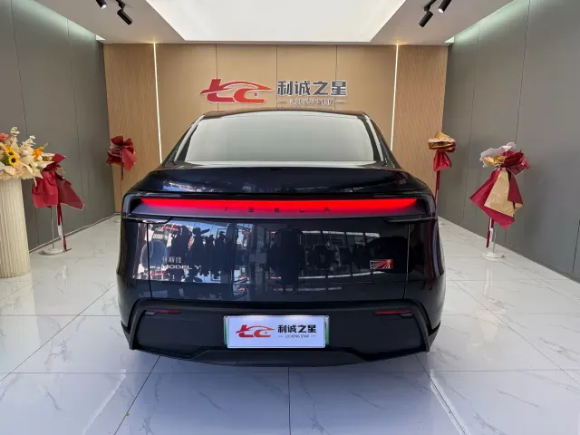 Tesla Model Y — Фото автомобиля 7