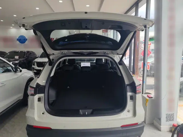 Haval Xiaolong MAX — Фото автомобиля 11