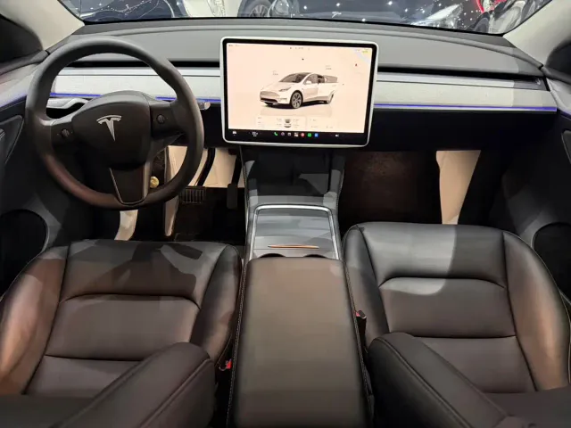 Tesla Model Y — Фото автомобиля 9