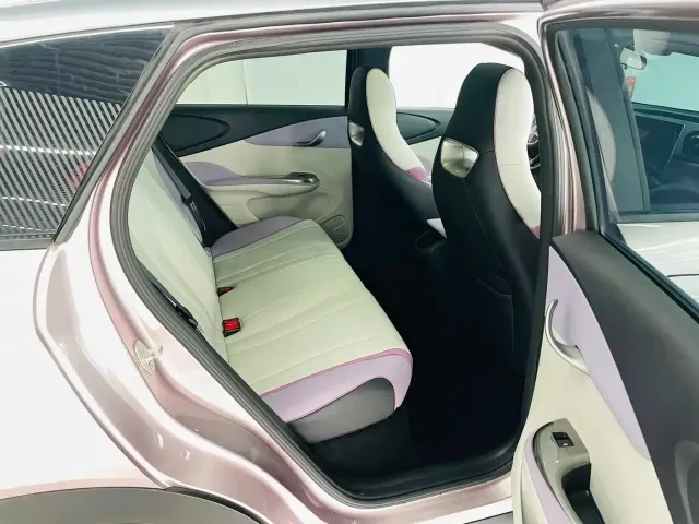 BYD Dolphin — Фото автомобиля 12