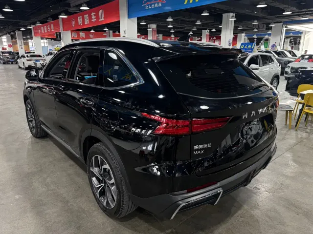 Haval Xiaolong MAX — Фото автомобиля 7