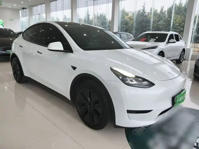 Tesla Model Y — Фото автомобиля 3
