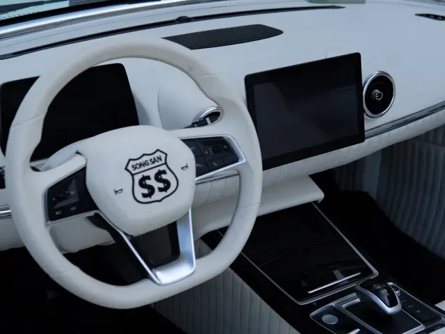 SONGSAN MOTORS SS DOLPHIN — Фото автомобиля 21
