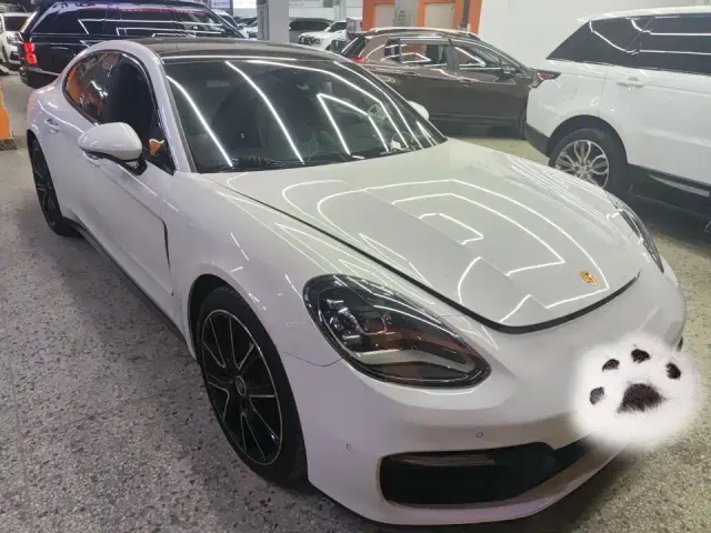 Porsche Panamera — Фото автомобиля 11
