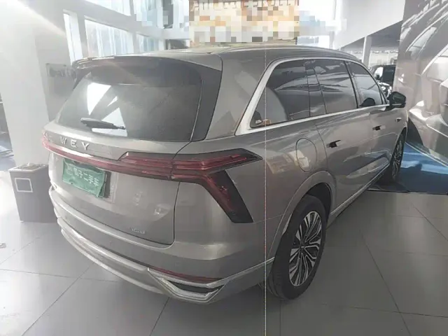 Wey Lanshan — Фото автомобиля 6