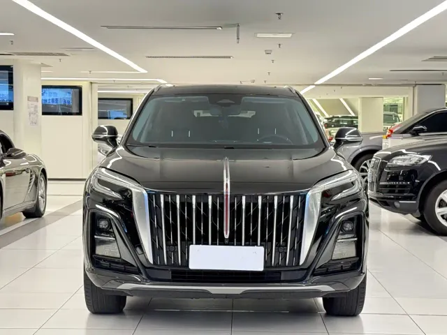 Hongqi HS3 — Фото автомобиля 2