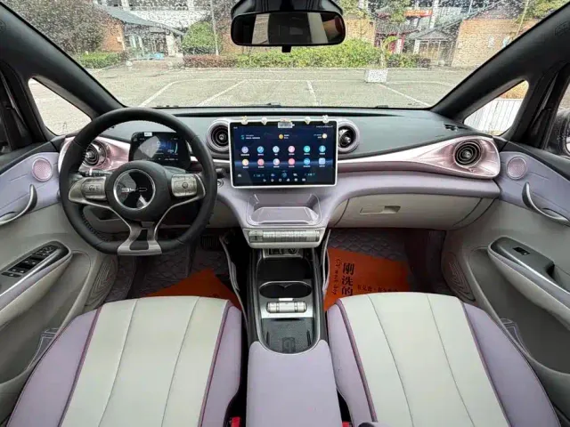 BYD Dolphin 2021 401km Knight Edition — Фото автомобиля 9