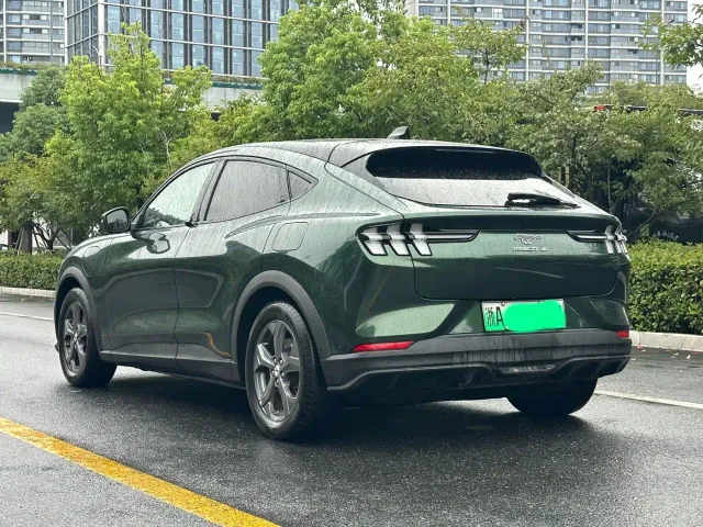 Ford Mustang Mach-E — Фото автомобиля 4