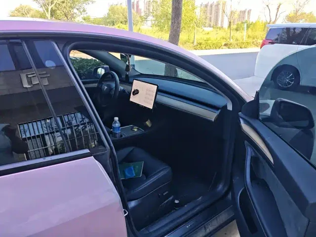 Tesla Model Y — Фото автомобиля 17
