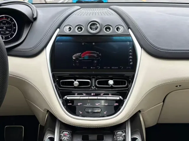 Aston Martin DBX — Фото автомобиля 22