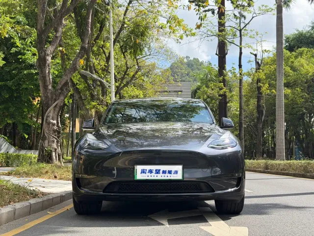 Tesla Model Y — Фото автомобиля 4