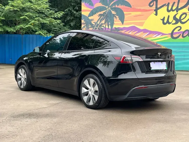 Tesla Model Y — Фото автомобиля 4
