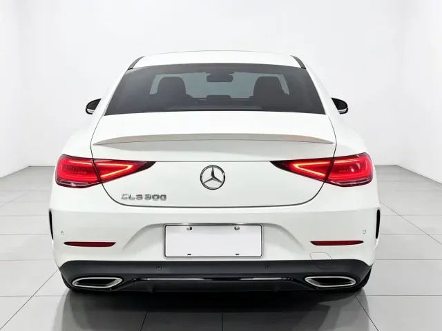 Mercedes-Benz CLS-Class — Фото автомобиля 8