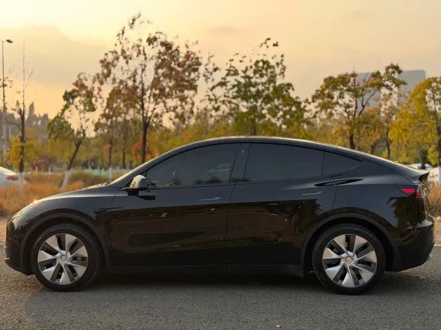 Tesla Model Y — Фото автомобиля 11