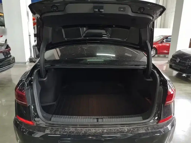 Volkswagen Passat — Фото автомобиля 18