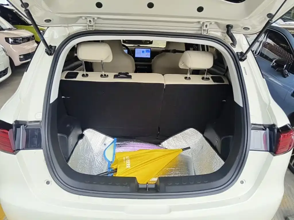 Wuling Motors Wuling Binguo PLUS 2024 510km Range 5-seater — Фото автомобиля 18