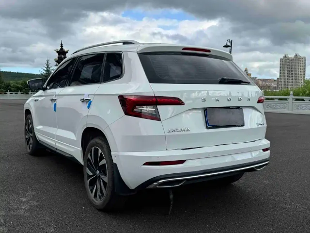 Skoda Karoq — Фото автомобиля 4