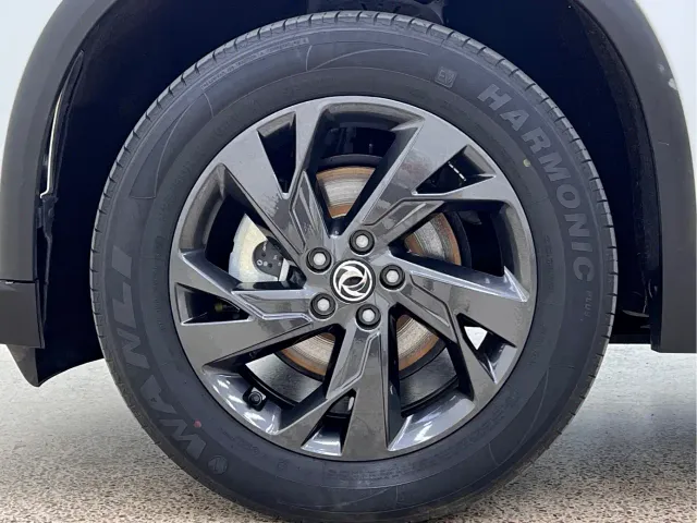 Dongfeng SKY EV01 — Фото автомобиля 10