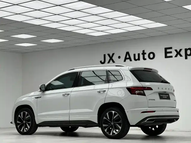 Skoda Karoq — Фото автомобиля 10