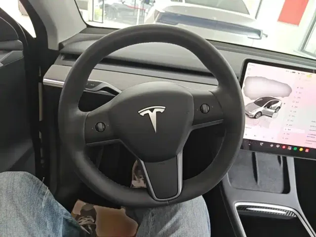 Tesla Model Y — Фото автомобиля 10