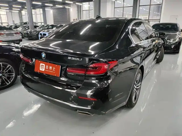 BMW 5 Series — Фото автомобиля 9