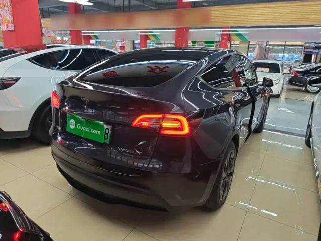 Tesla Model Y — Фото автомобиля 6