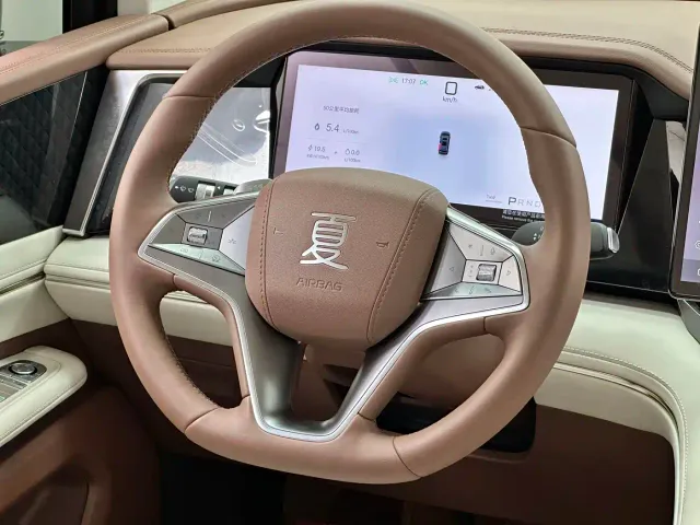 BYD Xia — Фото автомобиля 7