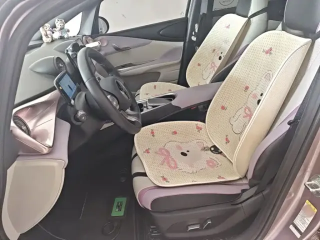 BYD Dolphin — Фото автомобиля 14