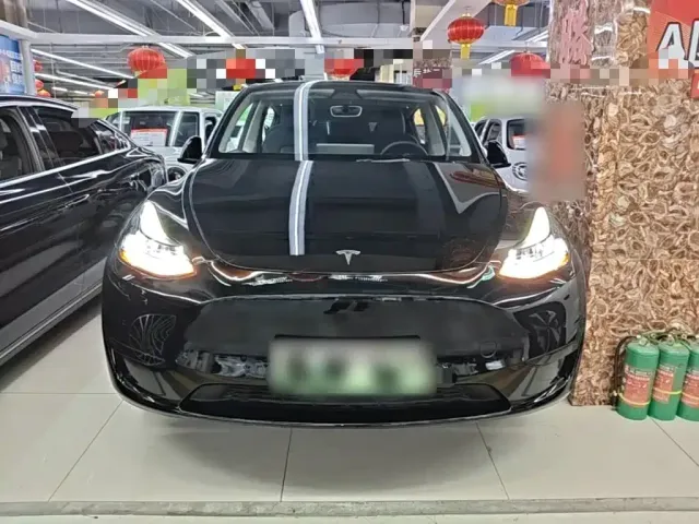 Tesla Model Y — Фото автомобиля 2