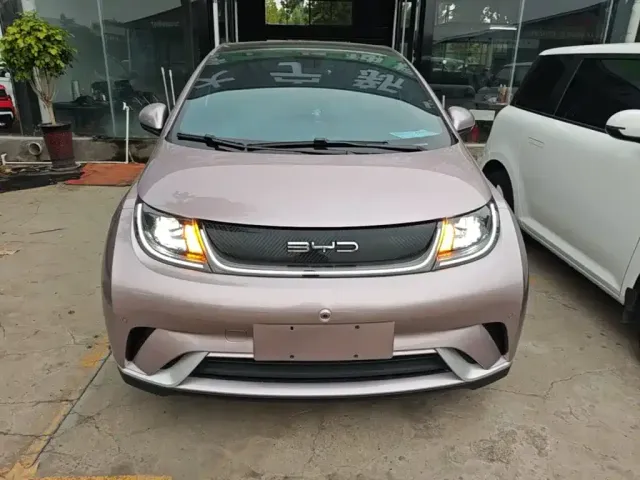 BYD Dolphin — Фото автомобиля 2