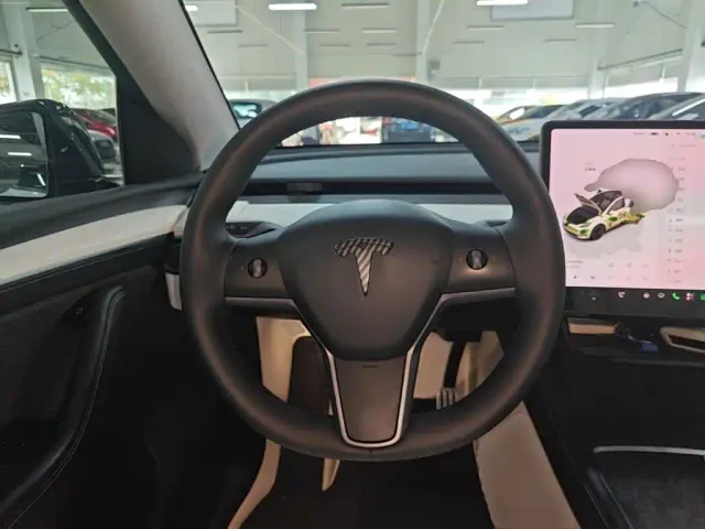 Tesla Model Y — Фото автомобиля 10