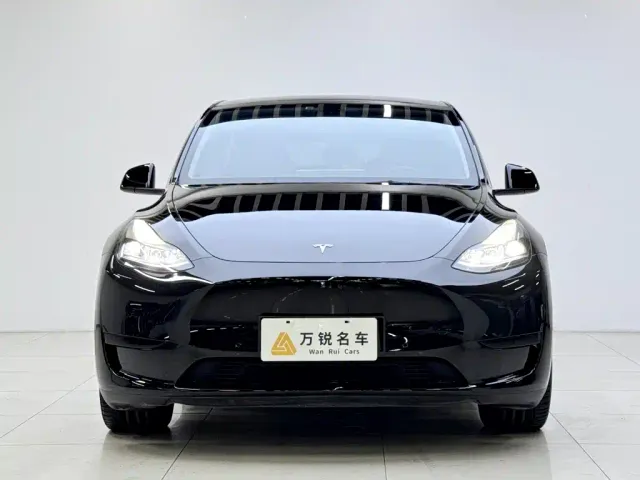 Tesla Model Y — Фото автомобиля 2