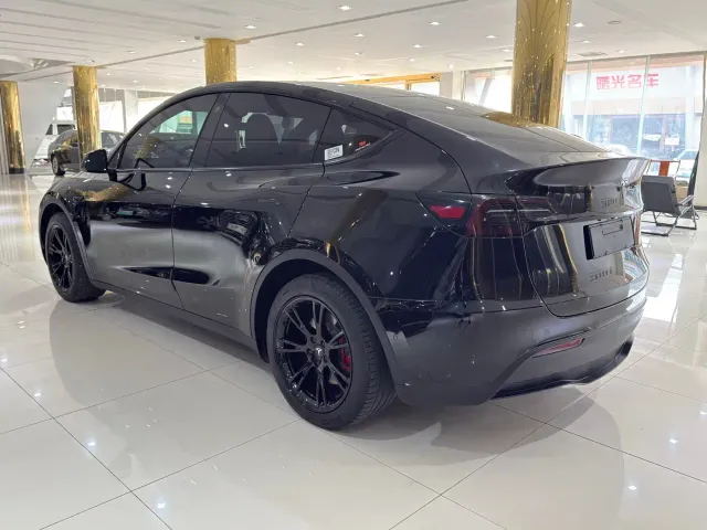 Tesla Model Y — Фото автомобиля 4