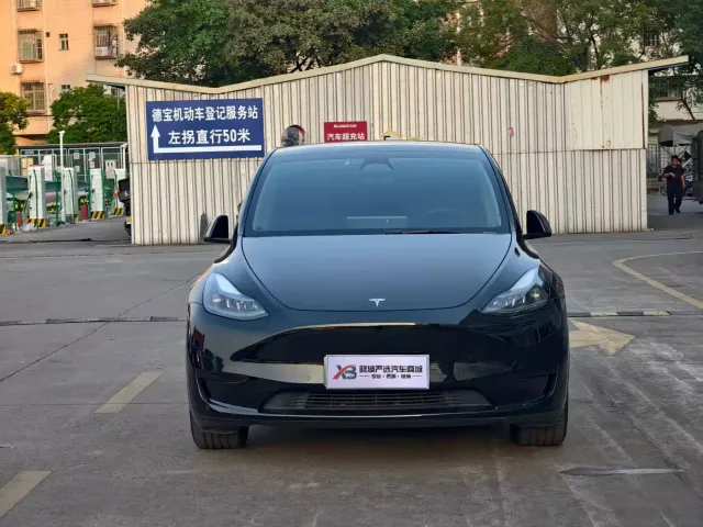 Tesla Model Y — Фото автомобиля 2