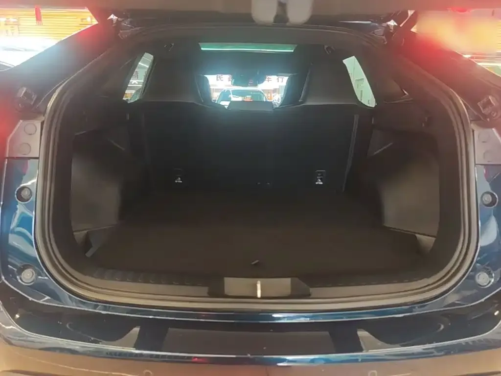 Haval Haval H6S 2022 Model 2.0T AWD Trend Run Edition — Фото автомобиля 15