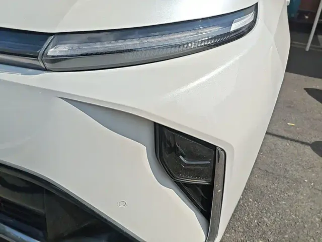 Maxus Dajia 9 — Фото автомобиля 23
