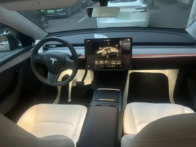 Tesla Model Y — Фото автомобиля 10