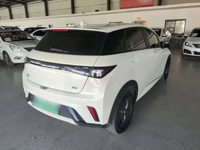 BYD Dolphin — Фото автомобиля 6