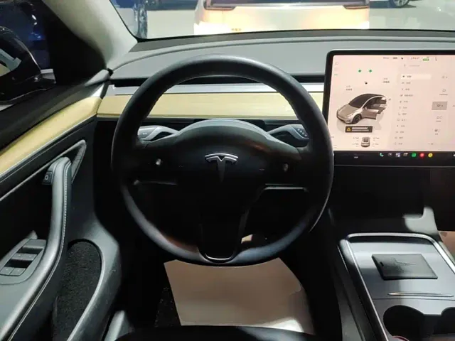 Tesla Model Y — Фото автомобиля 10