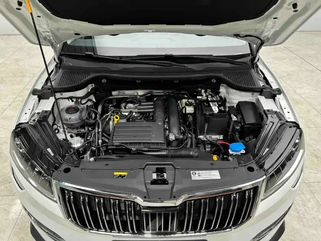 Skoda Karoq — Фото автомобиля 26