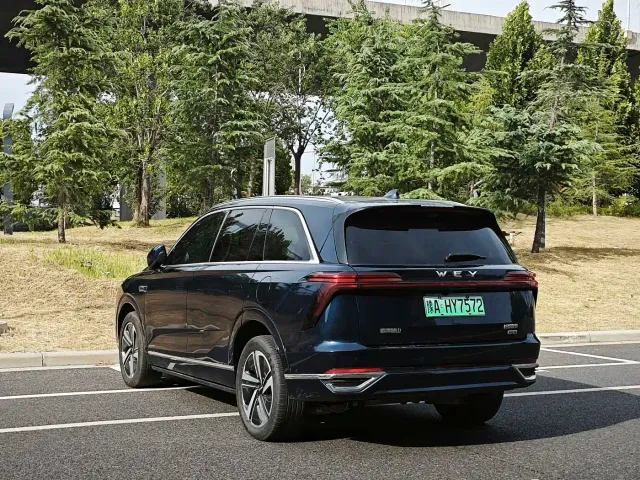 Wey Lanshan — Фото автомобиля 7