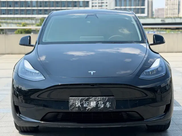 Tesla Model Y — Фото автомобиля 2