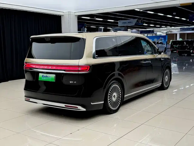 Luxeed Zunjie MPV — Фото автомобиля 13