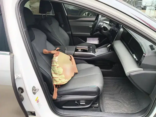 BYD Qin L — Фото автомобиля 24