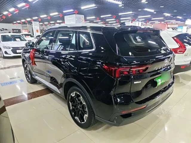 Ford Lingrui — Фото автомобиля 4